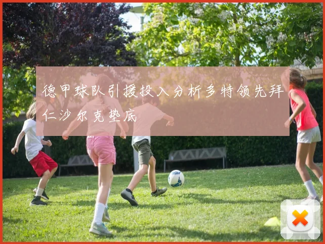 德甲球队引援投入分析多特领先拜仁沙尔克垫底