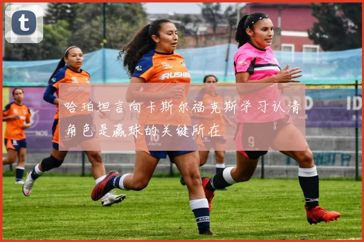 哈珀坦言向卡斯尔福克斯学习认清角色是赢球的关键所在